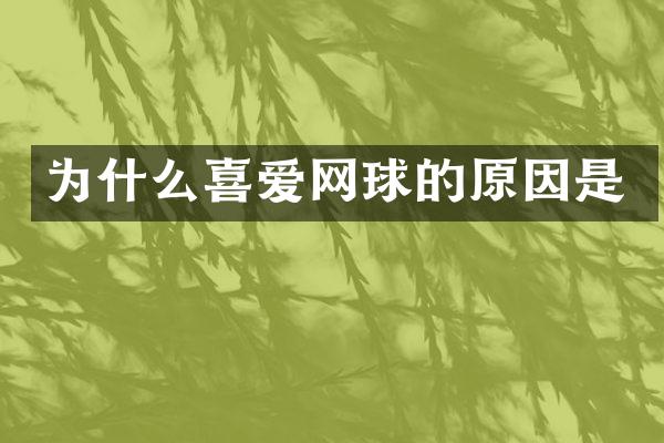 为什么喜爱网球的原因是