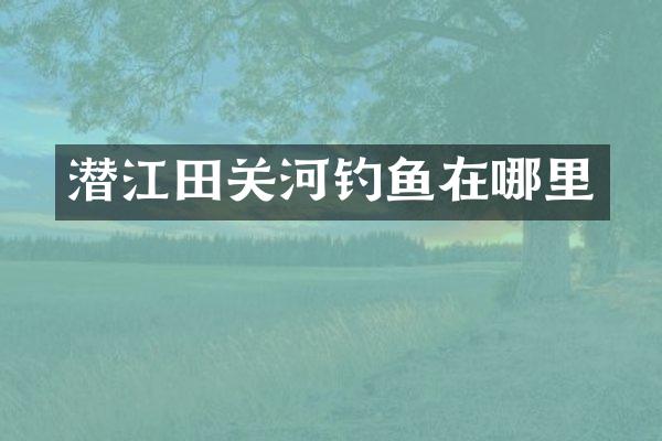潜江田关河钓鱼在哪里