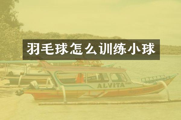 羽毛球怎么训练小球