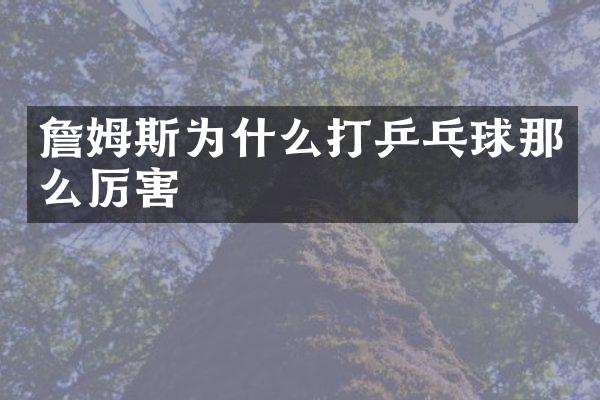 詹姆斯为什么打乒乓球那么厉害