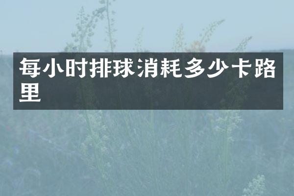 每小时排球消耗多少卡路里