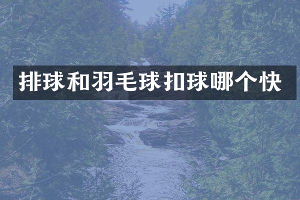 排球和羽毛球扣球哪个快