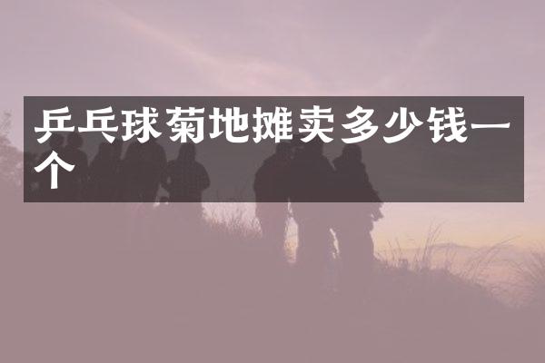 乒乓球菊地摊卖多少钱一个