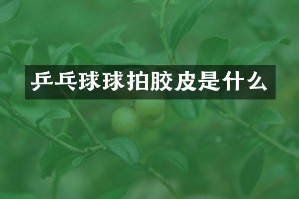 乒乓球球拍胶皮是什么