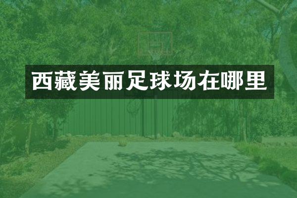 西藏美丽足球场在哪里