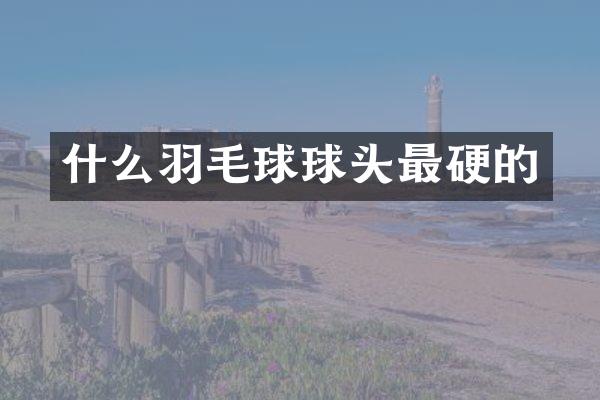 什么羽毛球球头最硬的
