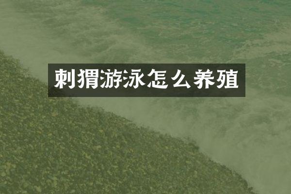 刺猬游泳怎么养殖