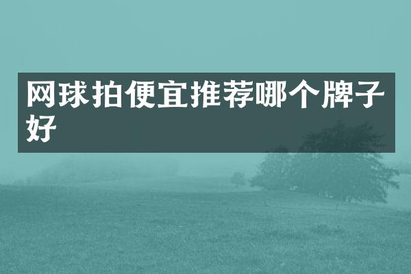 网球拍便宜推荐哪个牌子好