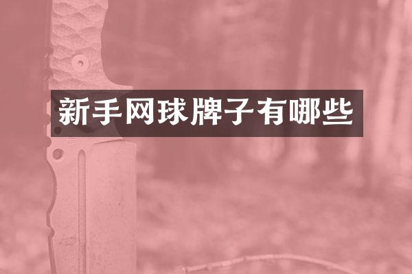 新手网球牌子有哪些