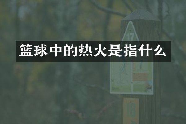 篮球中的热火是指什么