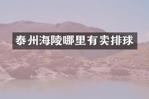 泰州海陵哪里有卖排球