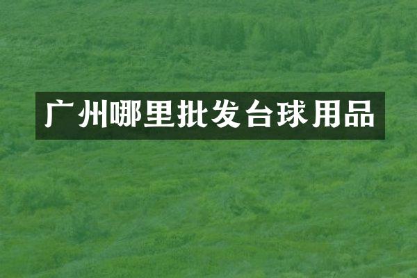 广州哪里批发台球用品