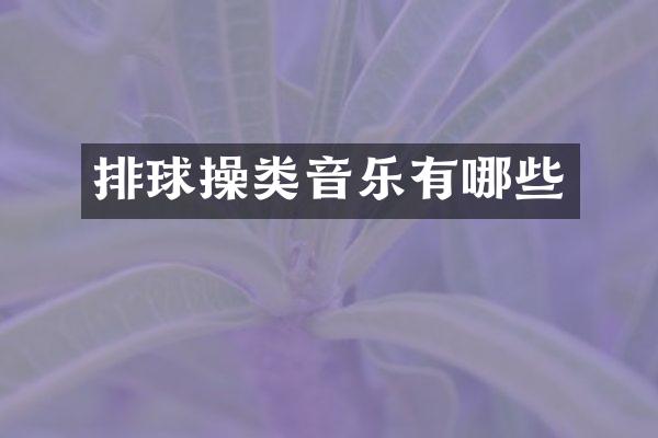 排球操类音乐有哪些