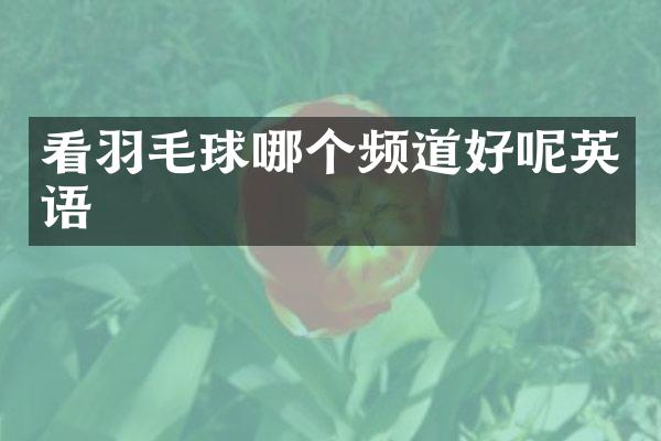 看羽毛球哪个频道好呢英语