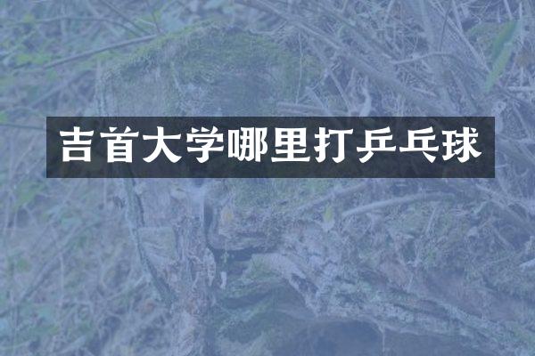 吉首大学哪里打乒乓球
