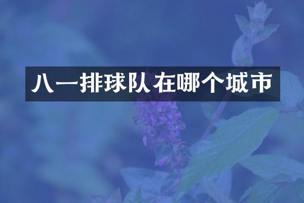 八一排球队在哪个城市
