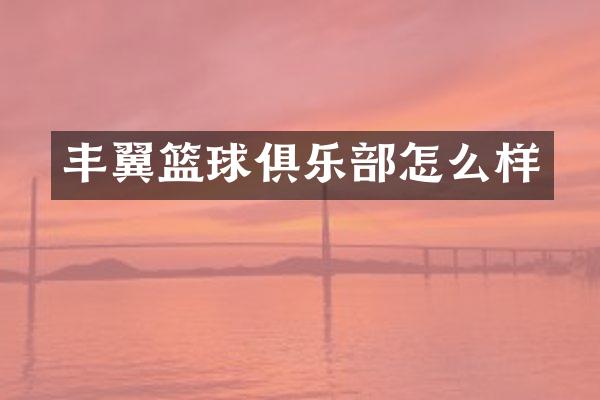 丰翼篮球俱乐部怎么样