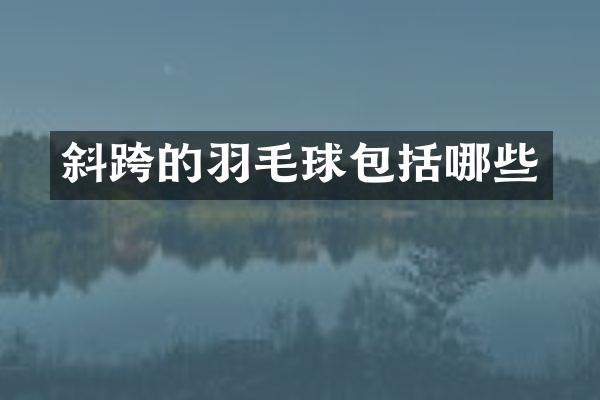 斜跨的羽毛球包括哪些