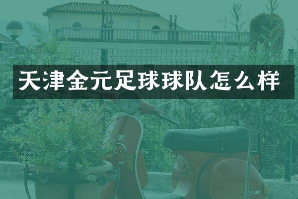 天津金元足球球队怎么样