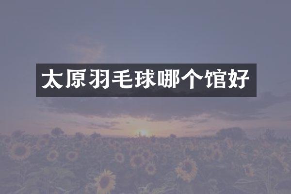 太原羽毛球哪个馆好