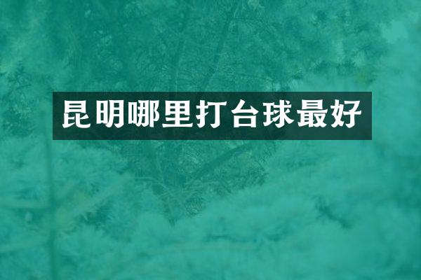 昆明哪里打台球最好