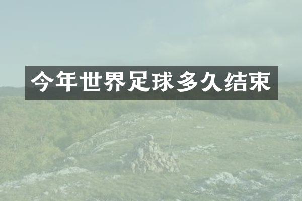 今年世界足球多久结束
