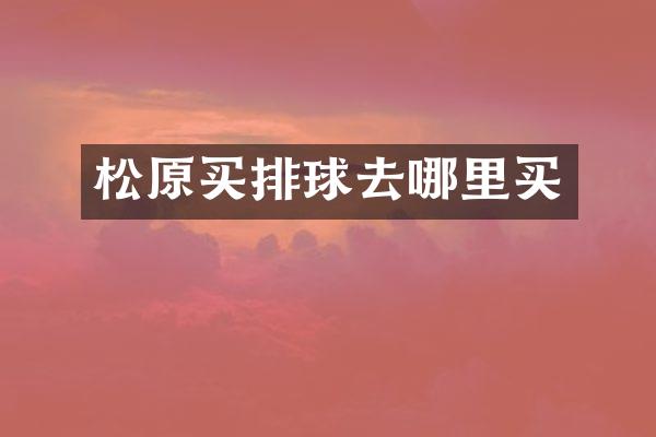 松原买排球去哪里买