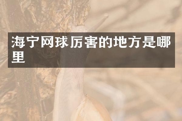 海宁网球厉害的地方是哪里