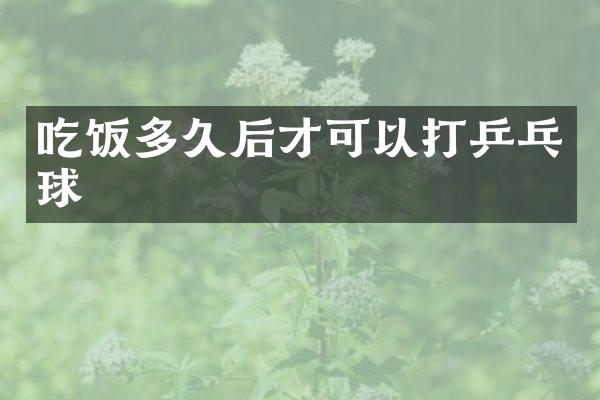 吃饭多久后才可以打乒乓球