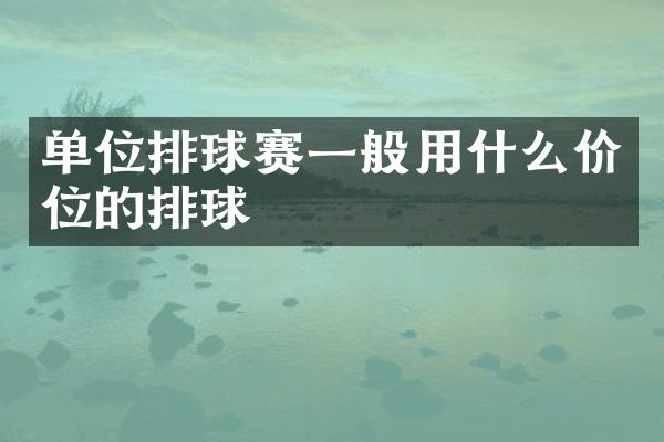 单位排球赛一般用什么价位的排球