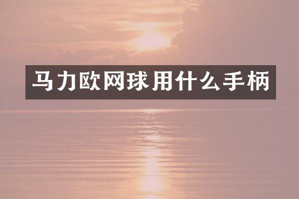 马力欧网球用什么手柄