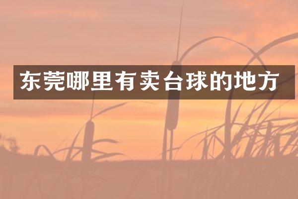东莞哪里有卖台球的地方