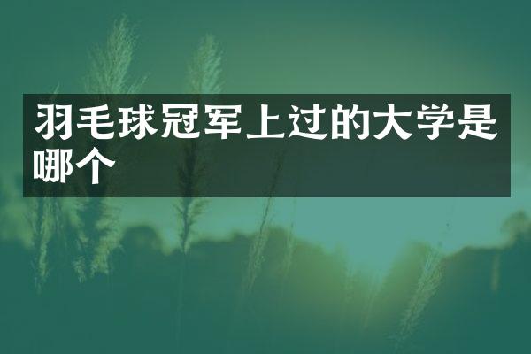 羽毛球冠军上过的大学是哪个