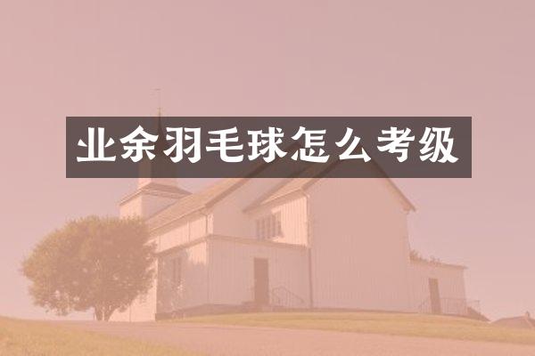 业余羽毛球怎么考级