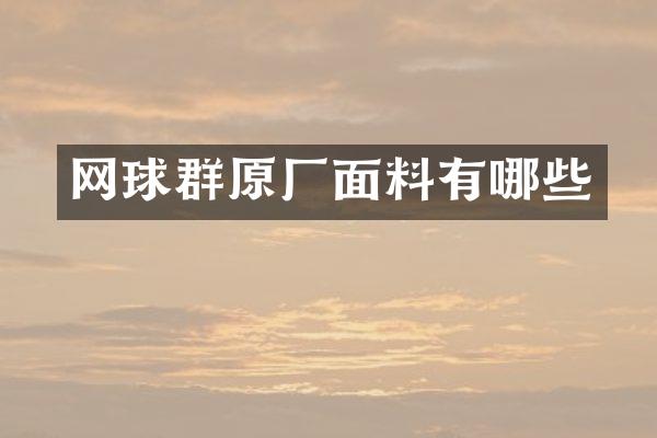 网球群原厂面料有哪些