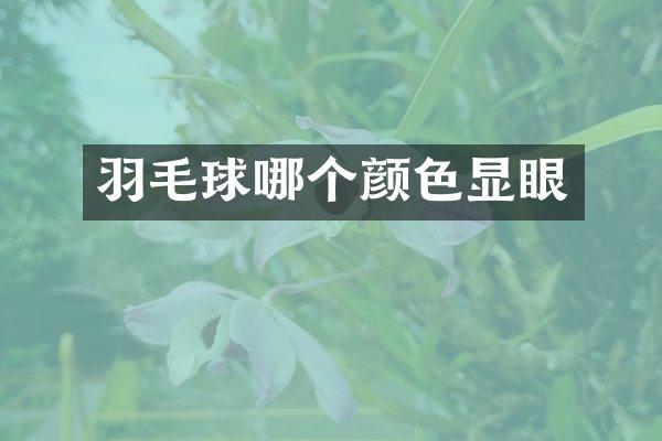 羽毛球哪个颜色显眼