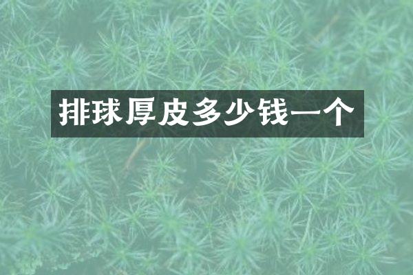 排球厚皮多少钱一个