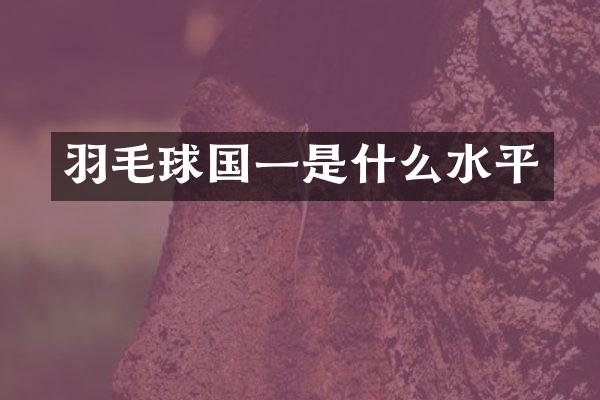 羽毛球国一是什么水平