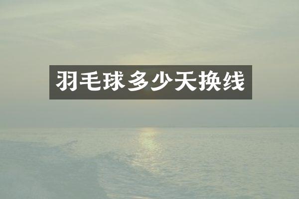 羽毛球多少天换线