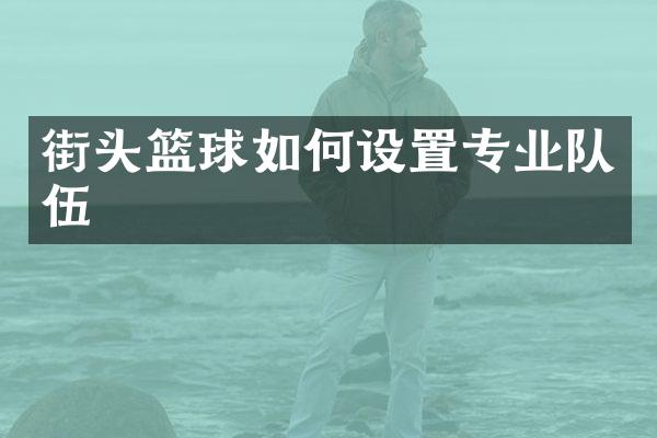 街头篮球如何设置专业队伍