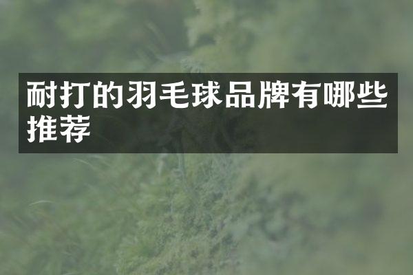 耐打的羽毛球品牌有哪些推荐