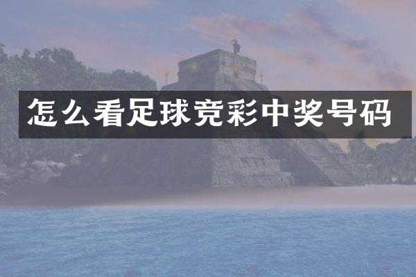 怎么看足球竞彩中奖号码