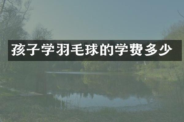 孩子学羽毛球的学费多少