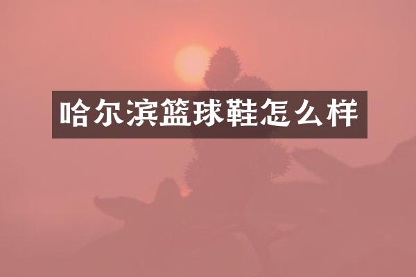 哈尔滨篮球鞋怎么样