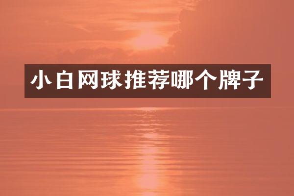 小白网球推荐哪个牌子