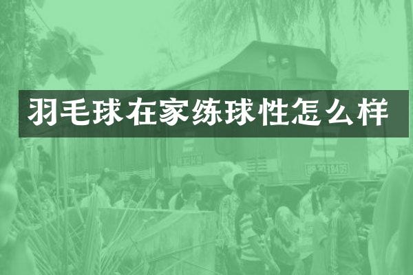 羽毛球在家练球性怎么样