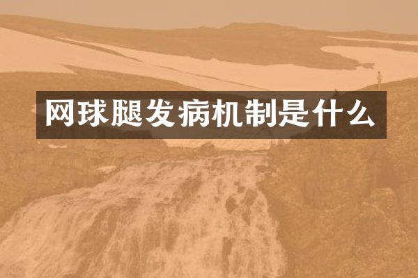 网球腿发病机制是什么