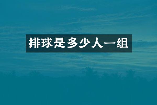 排球是多少人一组