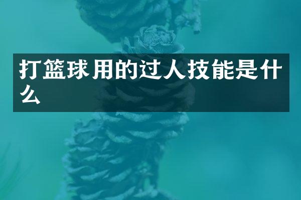 打篮球用的过人技能是什么