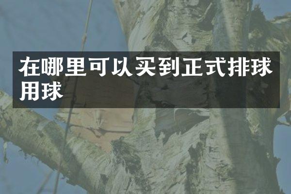 在哪里可以买到正式排球用球